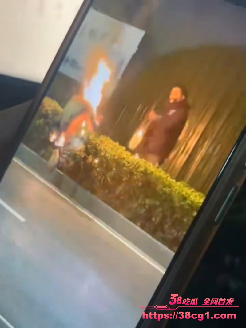 1770142737394165________5_.jpeg 1770142737394165________5_.jpeg