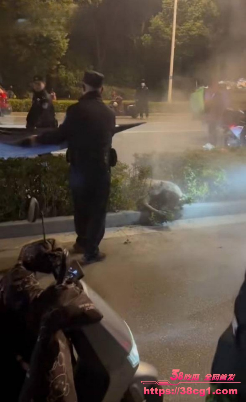 1770142737391673________2_.jpeg 1770142737391673________2_.jpeg