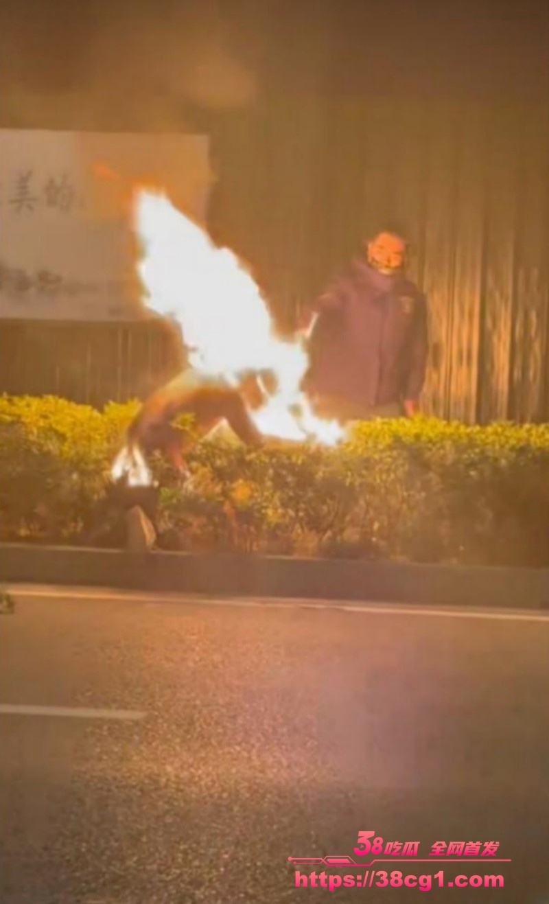 1770142737390595________1_.jpeg 1770142737390595________1_.jpeg